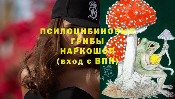 дживик Арсеньев