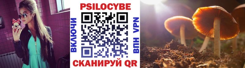 МЕГА ССЫЛКА  Сосенский  Галлюциногенные грибы мицелий 